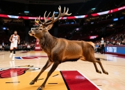 雄鹿轻取热火打进东部半决赛