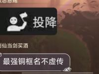 九游体育官网-这场刀塔比赛中，天启小队与逐风者打出神仙对决，碾压对手，直播间破纪录