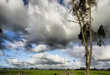 欧冠决赛上梅开二度，改制后8人做到，梅西无缘的简单介绍