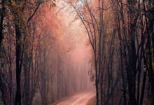 新A神降临？Ary与Shams几乎同时发布杜兰特交易新闻