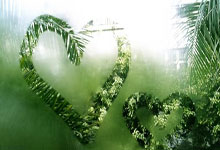 新A神降临？Ary与Shams几乎同时发布杜兰特交易新闻