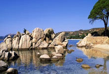 新A神降临？Ary与Shams几乎同时发布杜兰特交易新闻