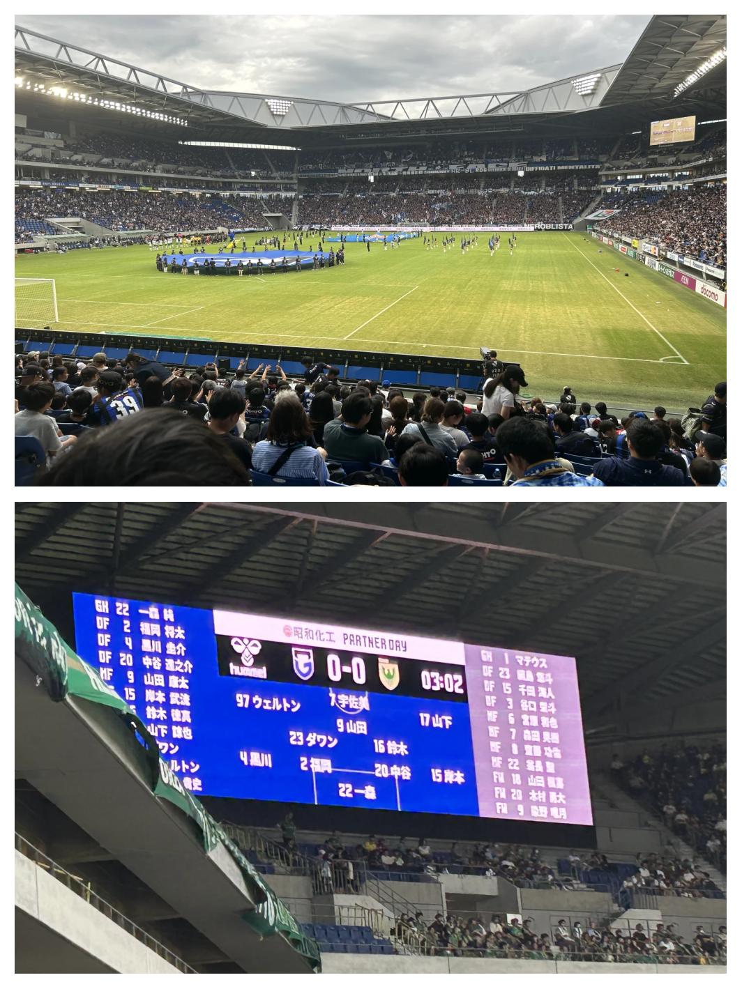 关于球迷全情投入，现场氛围热烈的信息